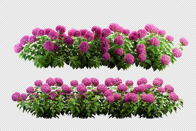 PSD hermosas diversas clases de flores en representación 3d