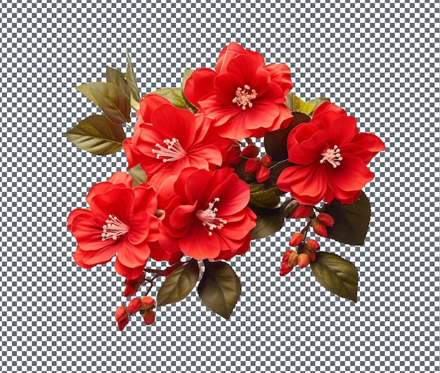 PSD hermosas flores de seda roja aisladas sobre un fondo transparente
