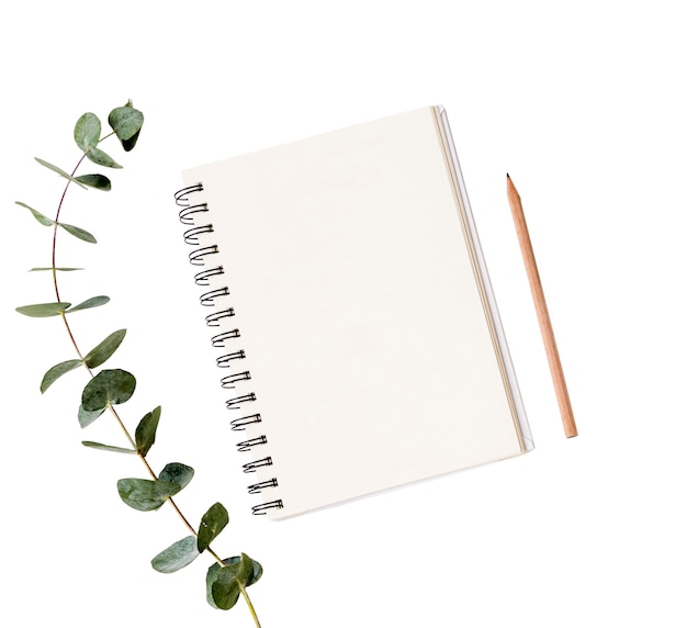 Hermosas hojas con cuadernos.