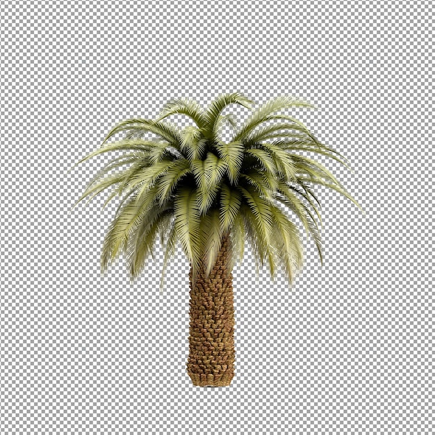 Hermosas plantas aisladas en 3D