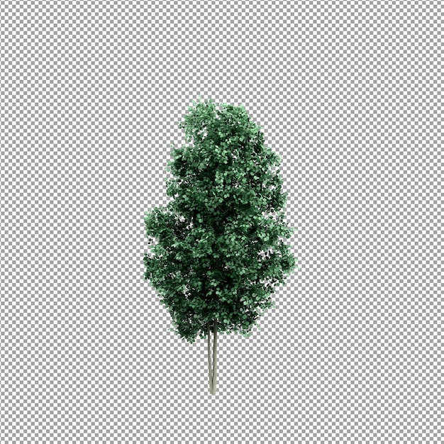 Hermosas plantas aisladas en 3D