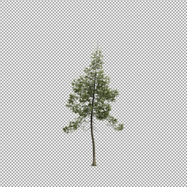 Hermosas plantas aisladas en 3D