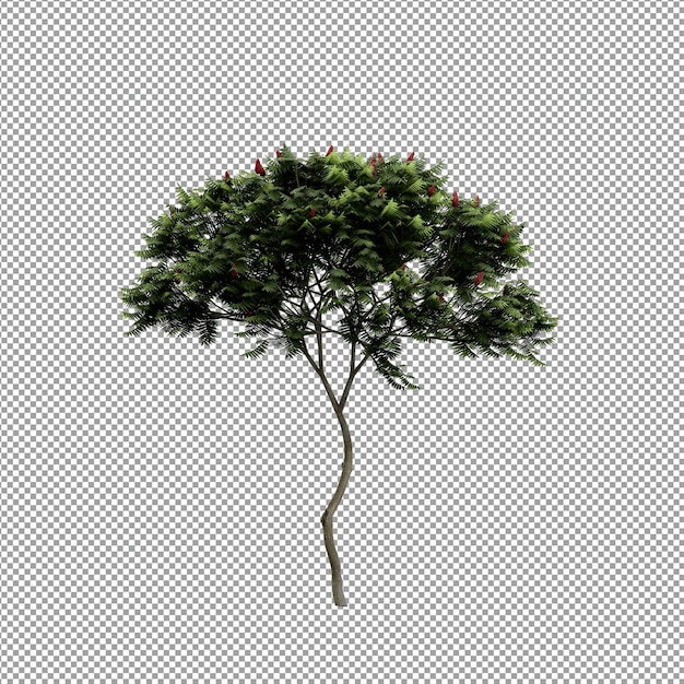 Hermosas plantas aisladas en 3D