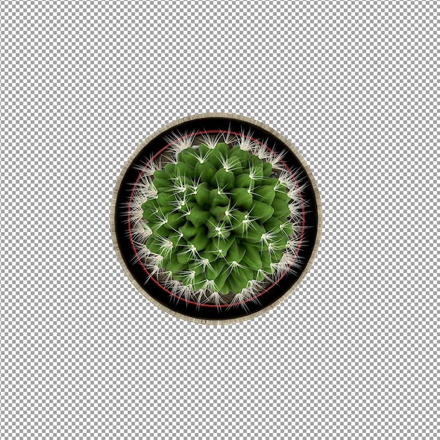 Hermosas plantas aisladas en 3D