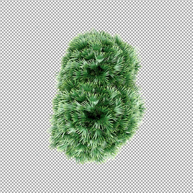 Hermosas plantas aisladas en 3D