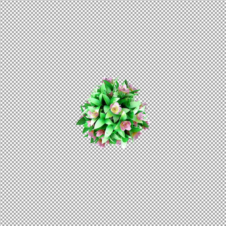 PSD hermosas plantas aisladas en 3d