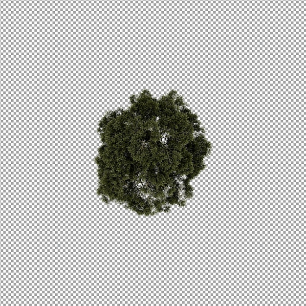 Hermosas plantas aisladas en 3D