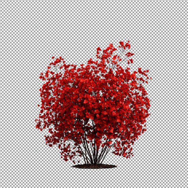 Hermosas plantas aisladas en 3D