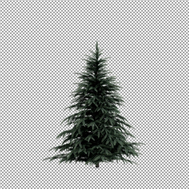 Hermosas plantas aisladas en 3D