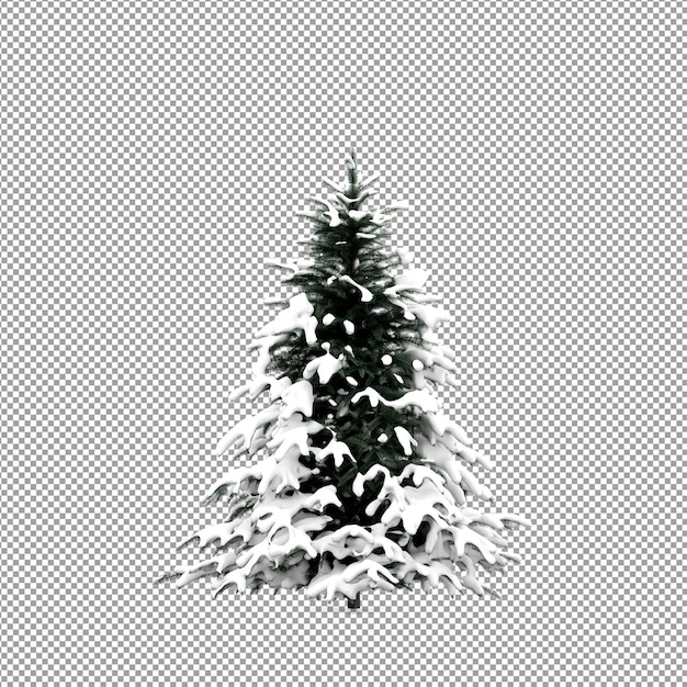 Hermosas plantas aisladas en 3D
