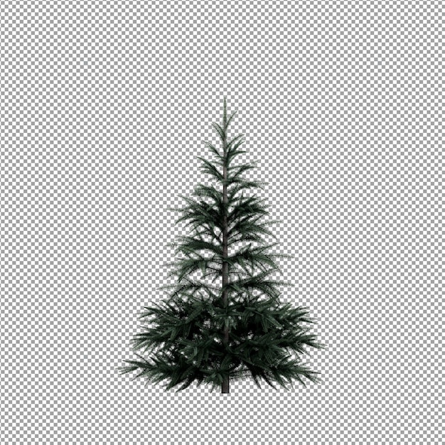 Hermosas plantas aisladas en 3D