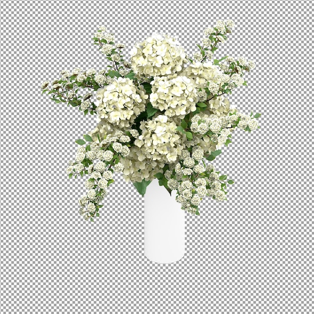 Hermosas plantas aisladas en 3D