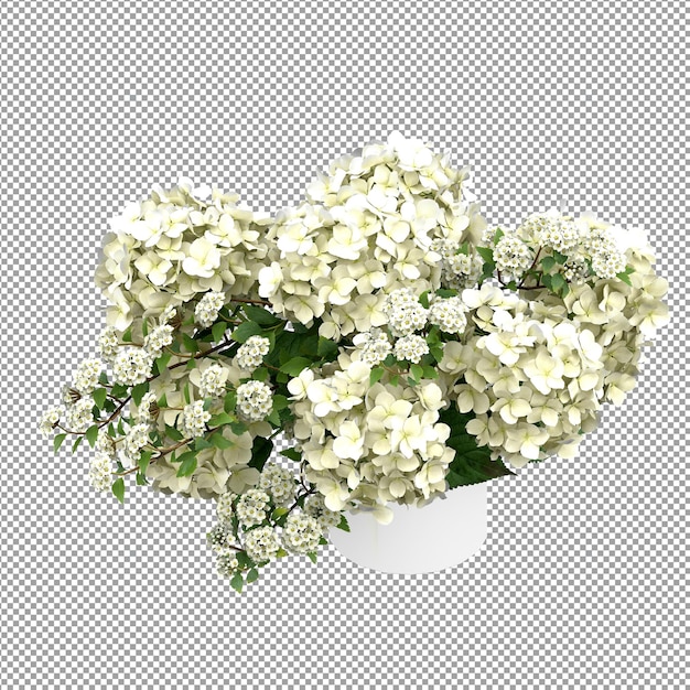 Hermosas plantas aisladas en 3D