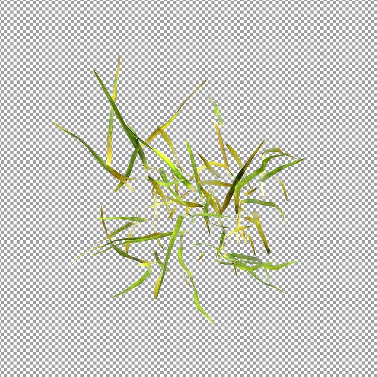 PSD hermosas plantas aisladas en 3d