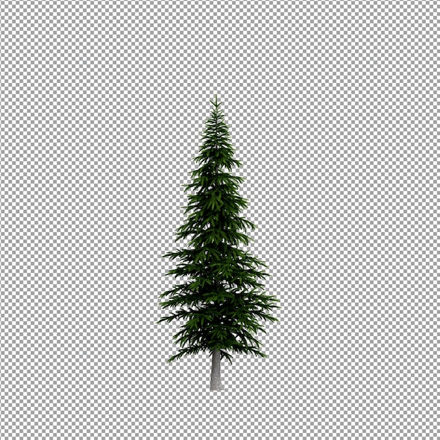 Hermosas plantas aisladas en 3D