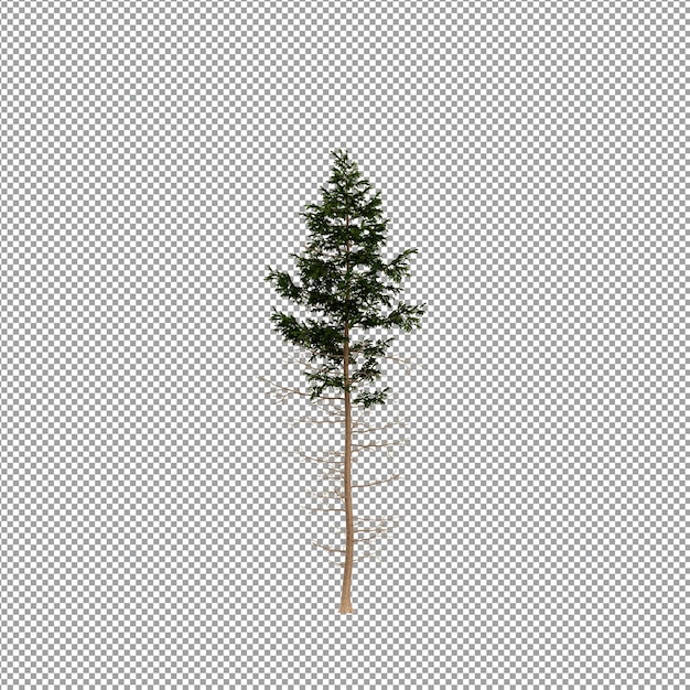 Hermosas plantas aisladas en 3D