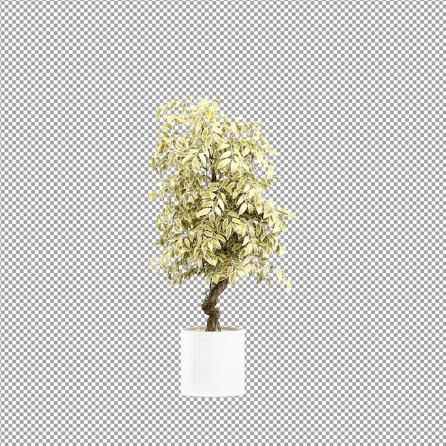 Hermosas plantas aisladas en 3D