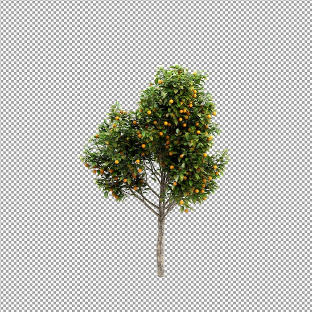 Hermosas plantas aisladas en 3D