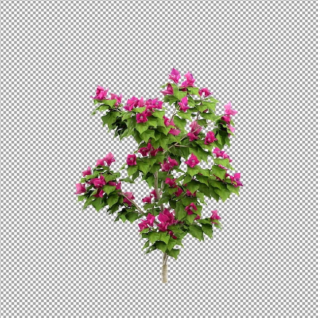 Hermosas plantas aisladas en 3D