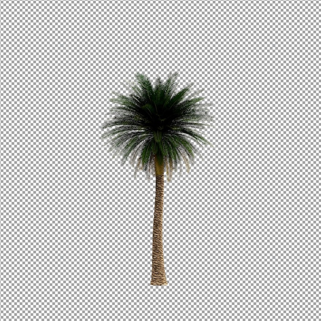 Hermosas plantas aisladas en 3D