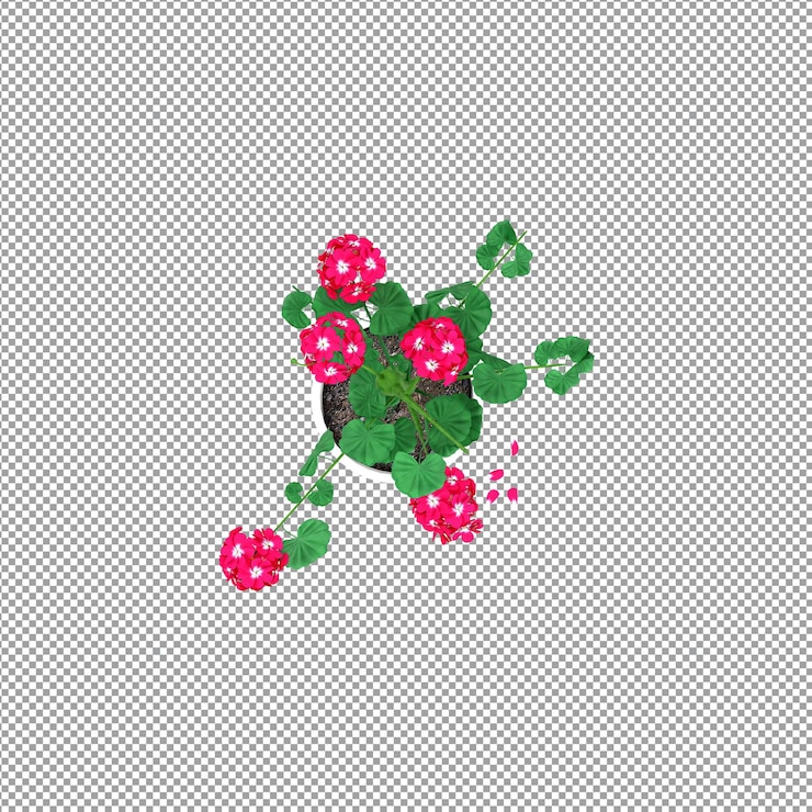 PSD hermosas plantas aisladas en 3d