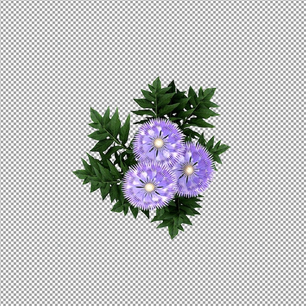 Hermosas plantas aisladas en 3D