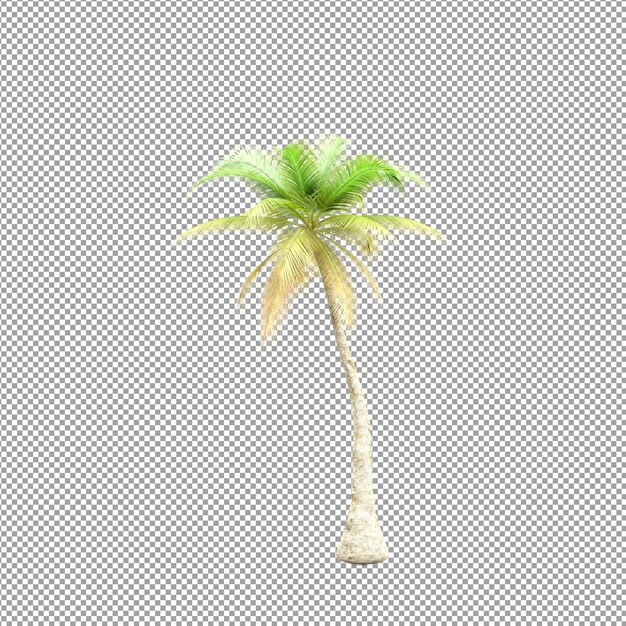 Hermosas plantas aisladas en 3D