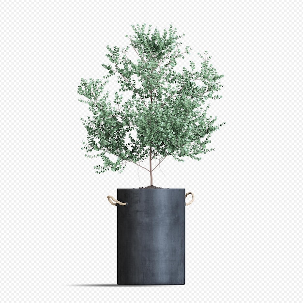 Hermosas plantas aisladas en 3D
