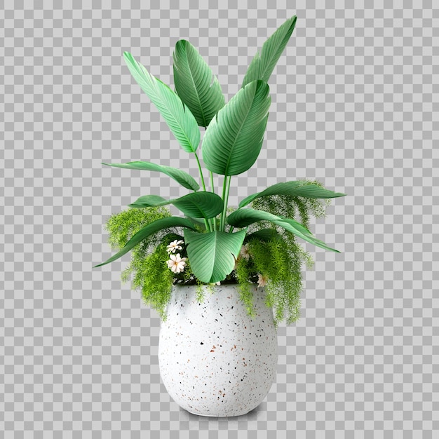 Hermosas plantas aisladas en 3D