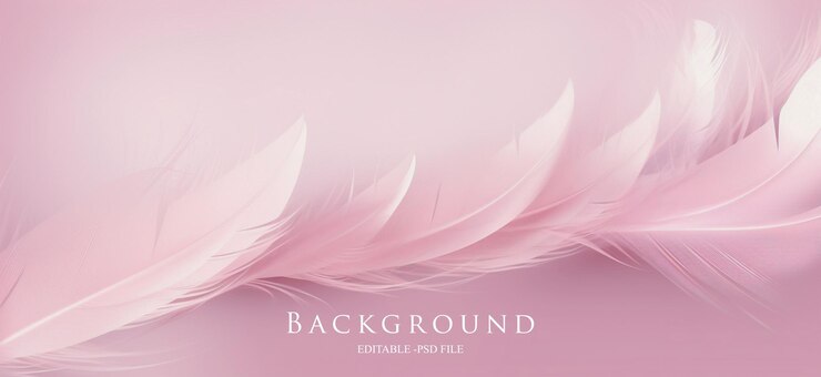 PSD hermosas plumas de colores como fondo de primer plano