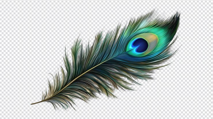 PSD hermosas plumas de pavo real en un fondo transparente para proyectos creativos de diseño y arte