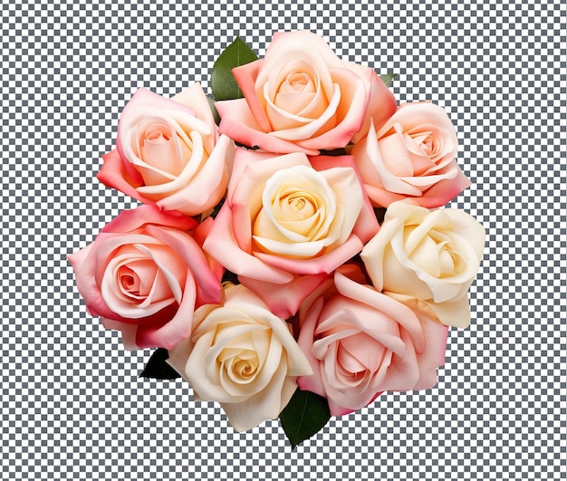 Hermosas rosas del amanecer aisladas sobre un fondo transparente