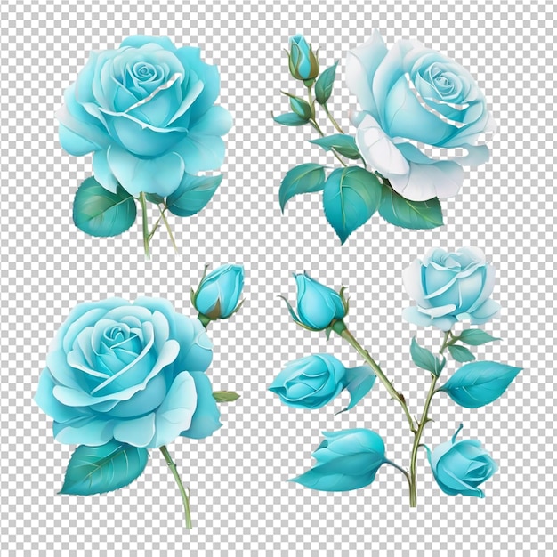 PSD el hermoso conjunto de ilustraciones de rosas de rosas clipart pro png