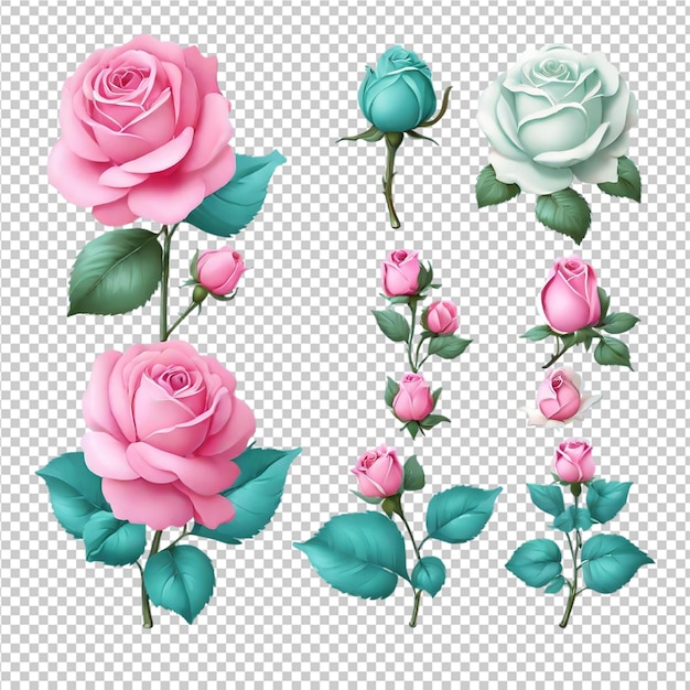 El hermoso conjunto de ilustraciones de rosas de rosas clipart pro png