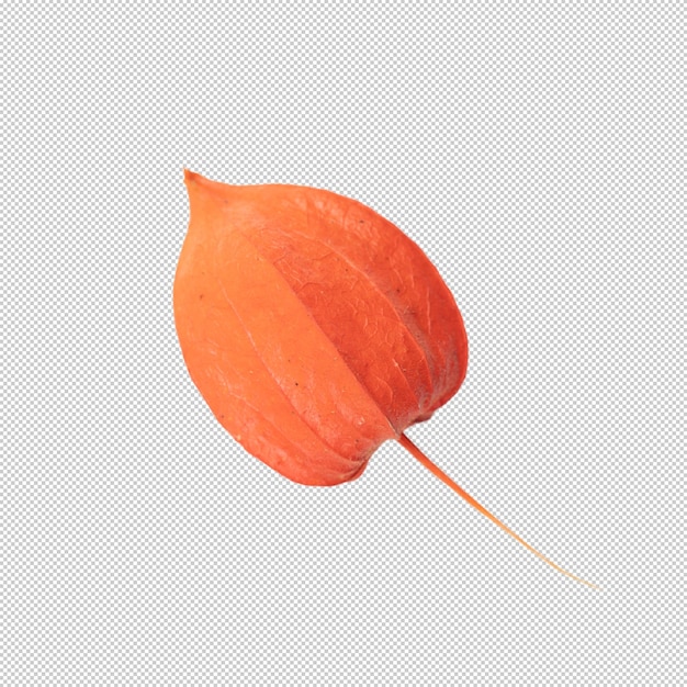 hermoso fruto de la naranja Physalis en primer plano psd