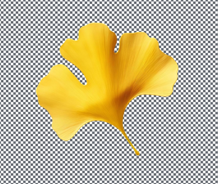 PSD el hermoso ginkgo dorado aislado sobre un fondo transparente