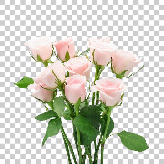 Un hermoso ramo de rosas rosadas