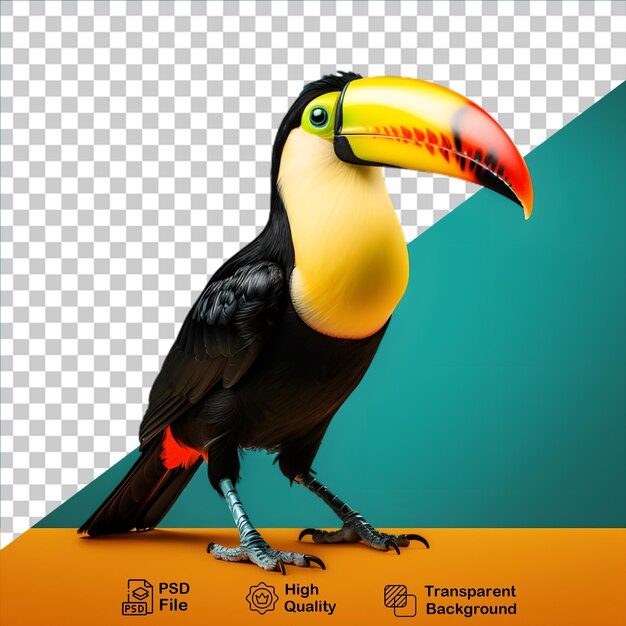 PSD hermoso tucano pájaro aislado en fondo transparente incluye archivo png