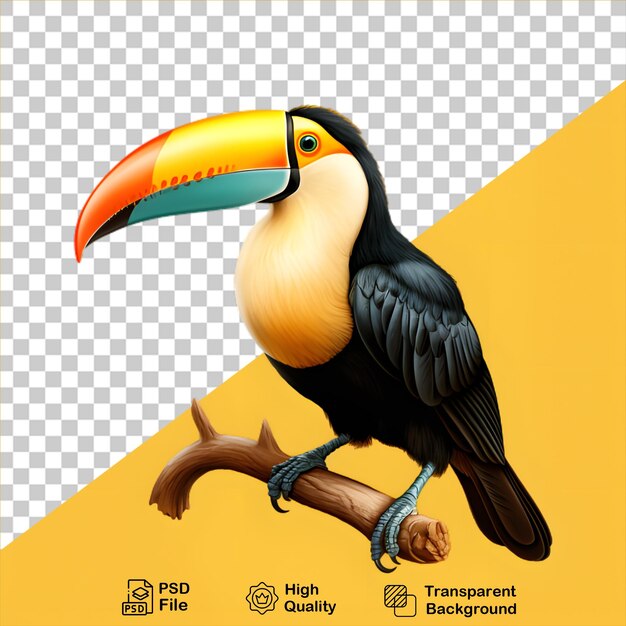 PSD hermoso tucano pájaro aislado en fondo transparente incluye archivo png