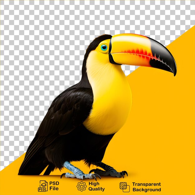 PSD hermoso tucano pájaro aislado en fondo transparente incluye archivo png