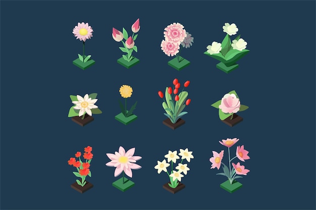 PSD hermosos iconos isométricos flores