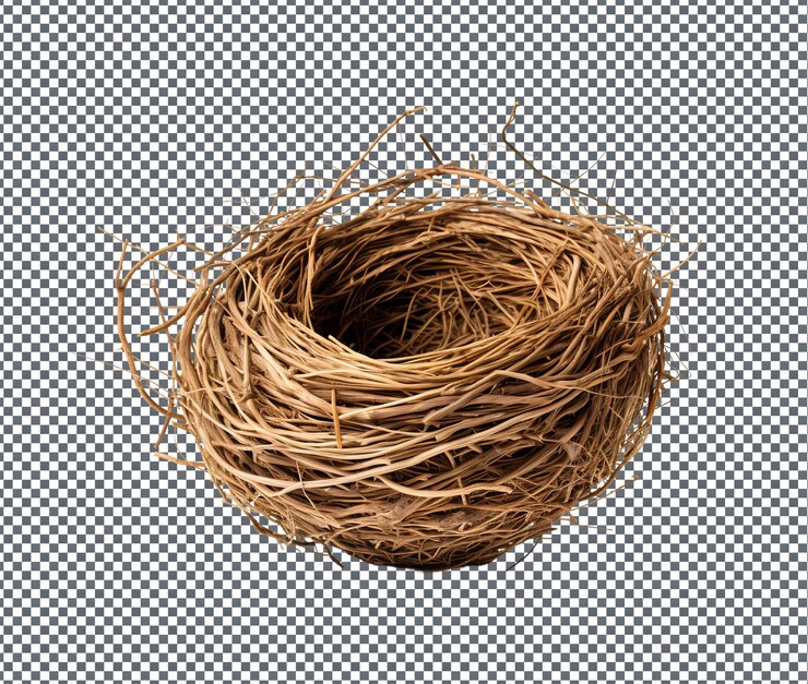 PSD hermosos nidos de pájaros aislados en un fondo transparente