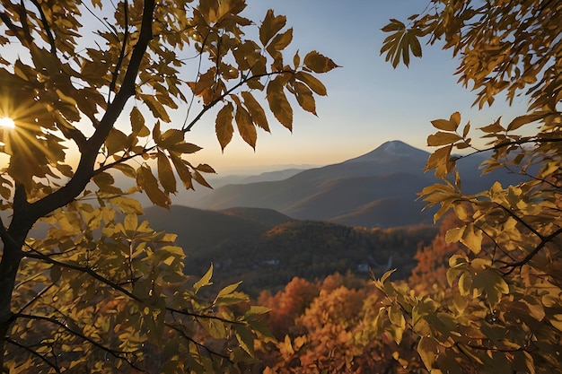 PSD hermosos paisajes de montañas y bosques en otoño