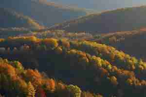 PSD hermosos paisajes de montañas y bosques en otoño