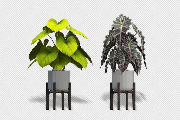 Hermosos varios tipos de árboles.