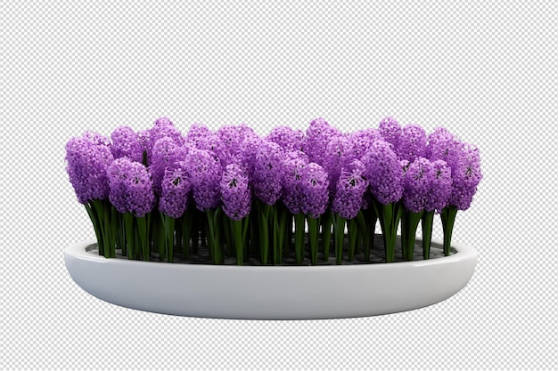 Hermosos varios tipos de flores en renderizado 3d aislado