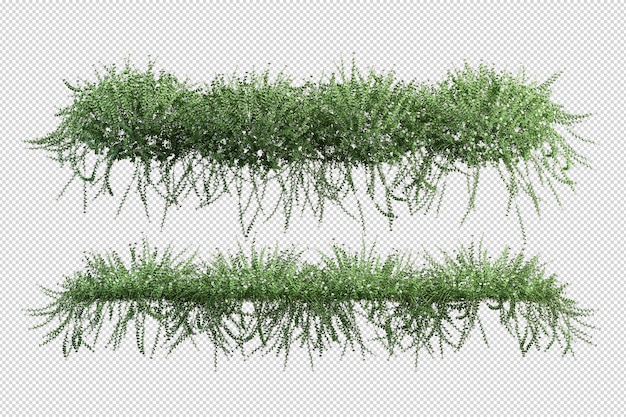 Hermosos varios tipos de flores en renderizado 3d aislado