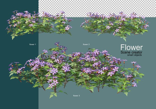 Hermosos varios tipos de flores.