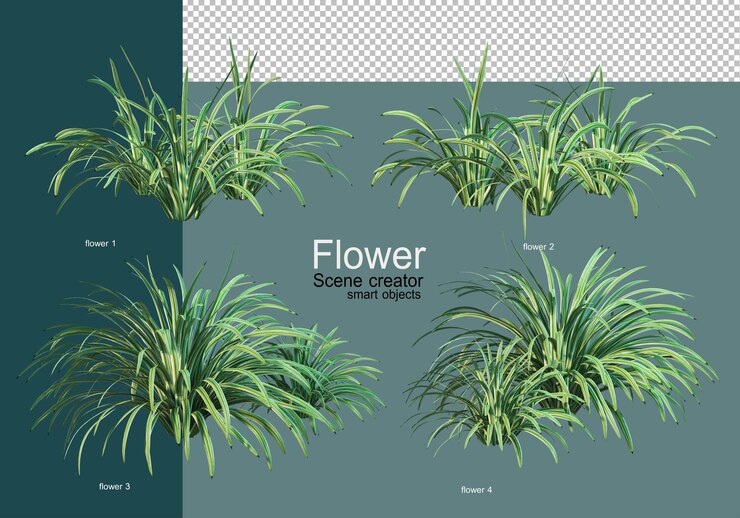 PSD hermosos varios tipos de flores.