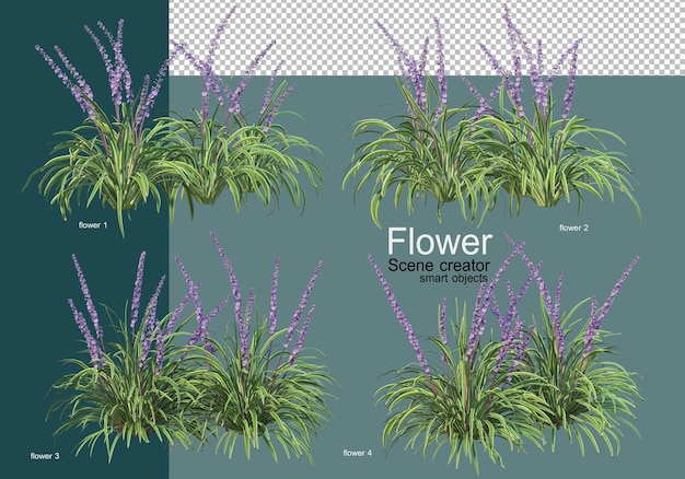 Hermosos varios tipos de flores.